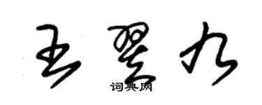 朱錫榮王翌九草書個性簽名怎么寫