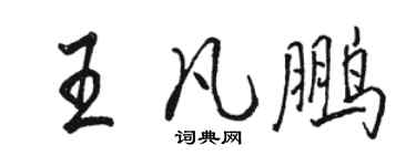 駱恆光王凡鵬行書個性簽名怎么寫