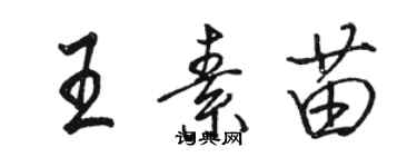 駱恆光王素苗行書個性簽名怎么寫