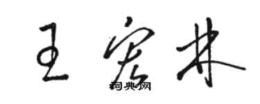 駱恆光王宏林草書個性簽名怎么寫