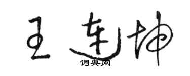駱恆光王連坤草書個性簽名怎么寫