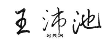 駱恆光王沛池行書個性簽名怎么寫
