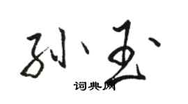 駱恆光孫玉行書個性簽名怎么寫