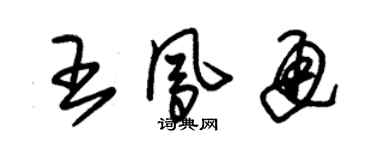 朱錫榮王鳳通草書個性簽名怎么寫