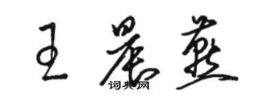 駱恆光王晨燕草書個性簽名怎么寫