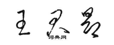 駱恆光王君昂草書個性簽名怎么寫