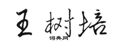 駱恆光王樹培行書個性簽名怎么寫