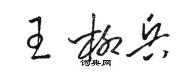 駱恆光王柳兵草書個性簽名怎么寫