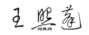 駱恆光王照蓬草書個性簽名怎么寫