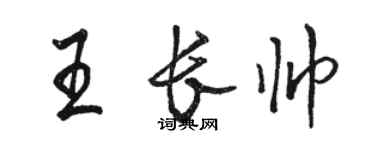 駱恆光王長帥行書個性簽名怎么寫