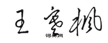 駱恆光王寒楓草書個性簽名怎么寫