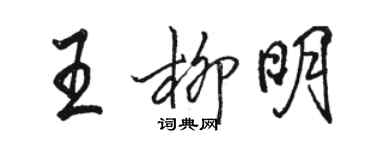 駱恆光王柳明行書個性簽名怎么寫