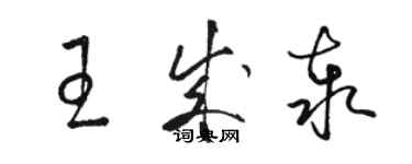 駱恆光王成泰草書個性簽名怎么寫