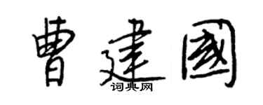 王正良曹建國行書個性簽名怎么寫