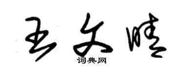 朱錫榮王文晴草書個性簽名怎么寫
