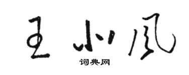 駱恆光王北風草書個性簽名怎么寫