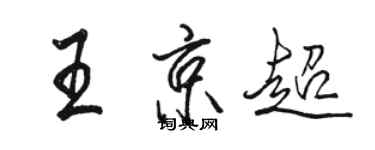 駱恆光王京超行書個性簽名怎么寫