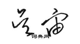 駱恆光吳宙草書個性簽名怎么寫