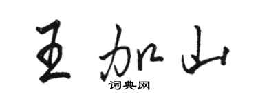 駱恆光王加山行書個性簽名怎么寫