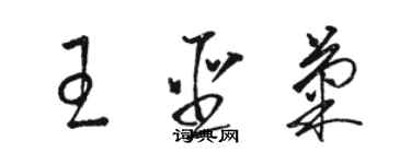 駱恆光王聖菊草書個性簽名怎么寫