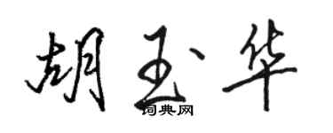 駱恆光胡玉華行書個性簽名怎么寫