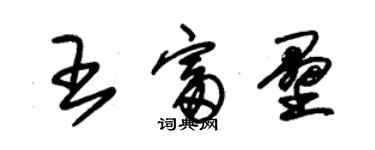 朱錫榮王富壘草書個性簽名怎么寫