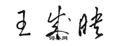 駱恆光王成映草書個性簽名怎么寫