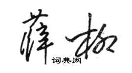駱恆光薛柳草書個性簽名怎么寫