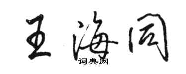 駱恆光王海同行書個性簽名怎么寫