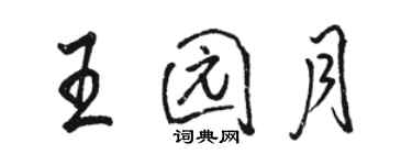 駱恆光王園月行書個性簽名怎么寫