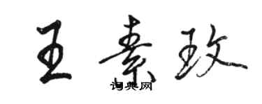 駱恆光王素玫行書個性簽名怎么寫