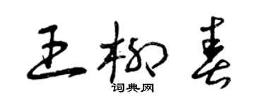 曾慶福王柳春草書個性簽名怎么寫