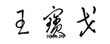 駱恆光王寶戈草書個性簽名怎么寫