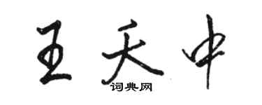 駱恆光王夭中行書個性簽名怎么寫
