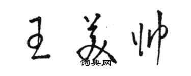 駱恆光王美帥草書個性簽名怎么寫