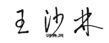 駱恆光王沙林草書個性簽名怎么寫