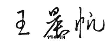 駱恆光王晨帆草書個性簽名怎么寫