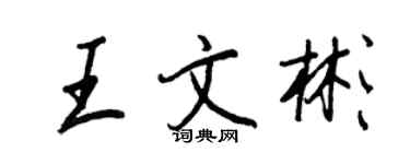 王正良王文彬行書個性簽名怎么寫