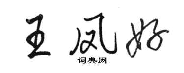 駱恆光王鳳好行書個性簽名怎么寫