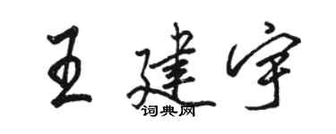 駱恆光王建宇行書個性簽名怎么寫