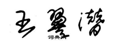 朱錫榮王翼潛草書個性簽名怎么寫