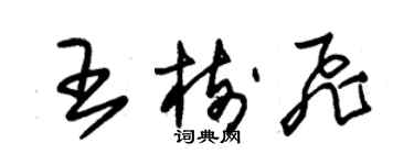 朱錫榮王樹飛草書個性簽名怎么寫