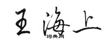 駱恆光王海上行書個性簽名怎么寫