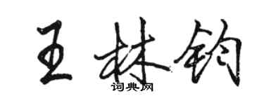 駱恆光王林鈞行書個性簽名怎么寫