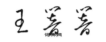 駱恆光王響響草書個性簽名怎么寫