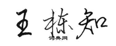 駱恆光王棟知行書個性簽名怎么寫