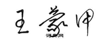 駱恆光王蒙甲草書個性簽名怎么寫