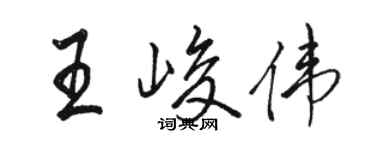 駱恆光王峻偉行書個性簽名怎么寫