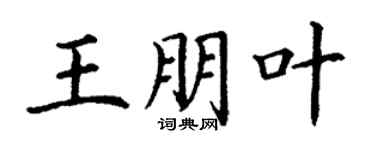 丁謙王朋葉楷書個性簽名怎么寫