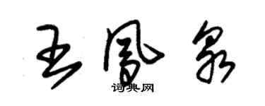 朱錫榮王鳳泉草書個性簽名怎么寫